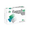 FLAGOSIL 400 c/30 CAPS. 400/200 MG.
